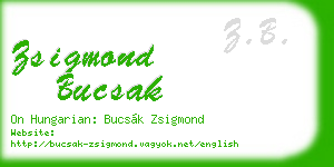 zsigmond bucsak business card